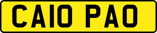 CA10PAO