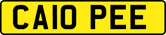 CA10PEE