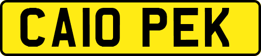 CA10PEK