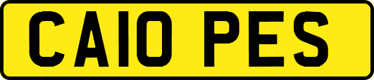 CA10PES