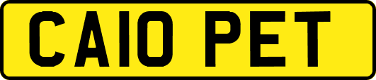 CA10PET
