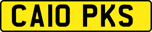 CA10PKS