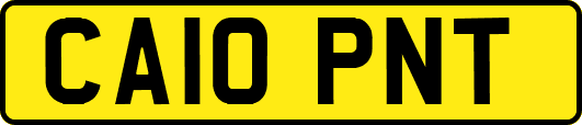 CA10PNT