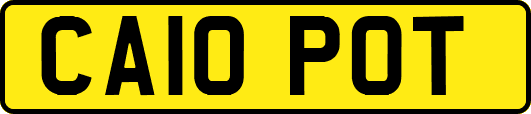 CA10POT