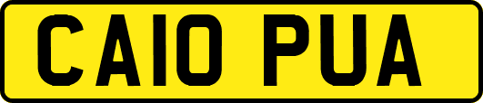 CA10PUA