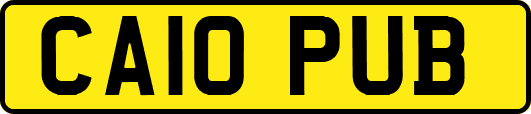 CA10PUB
