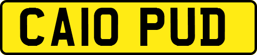 CA10PUD