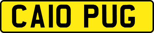 CA10PUG