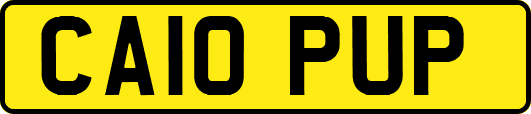 CA10PUP