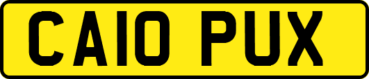 CA10PUX
