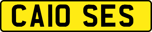 CA10SES