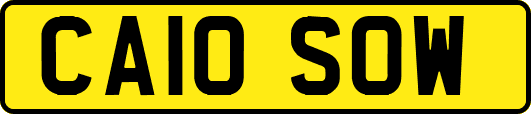 CA10SOW
