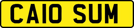 CA10SUM