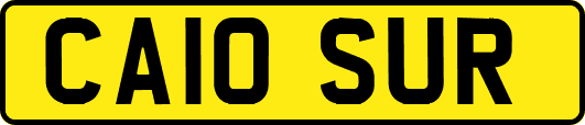 CA10SUR