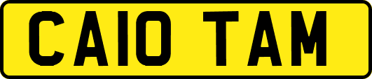CA10TAM