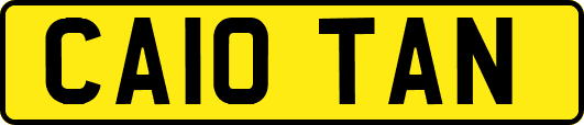 CA10TAN