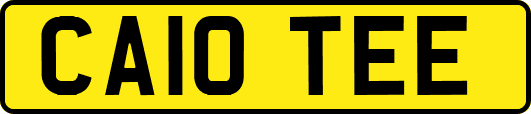 CA10TEE