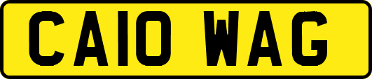 CA10WAG