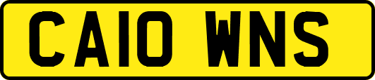 CA10WNS