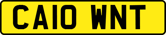 CA10WNT