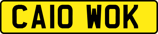 CA10WOK