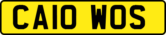 CA10WOS