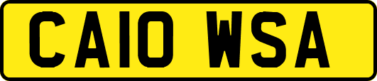 CA10WSA