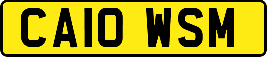 CA10WSM