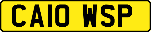 CA10WSP