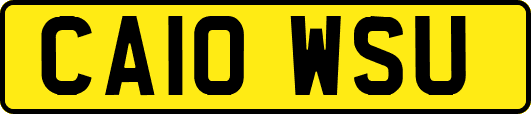 CA10WSU
