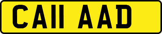 CA11AAD