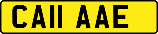 CA11AAE