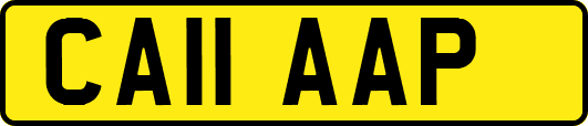 CA11AAP