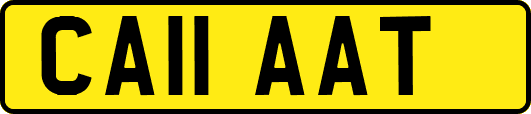 CA11AAT
