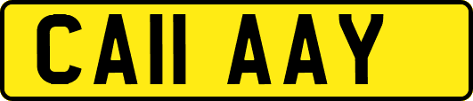 CA11AAY