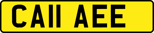 CA11AEE