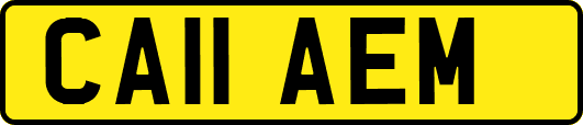 CA11AEM