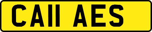 CA11AES