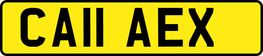 CA11AEX