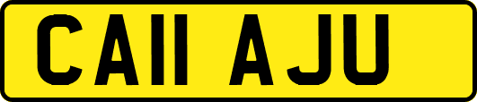 CA11AJU