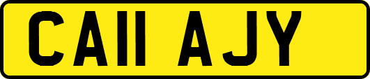 CA11AJY