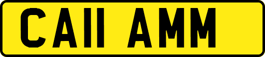 CA11AMM