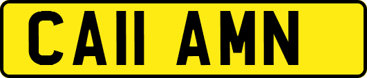 CA11AMN