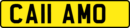 CA11AMO