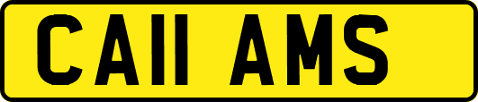 CA11AMS