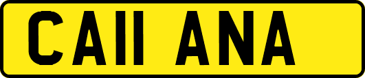 CA11ANA