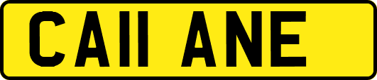 CA11ANE