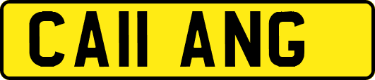 CA11ANG