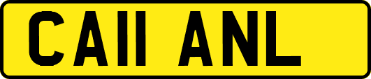 CA11ANL