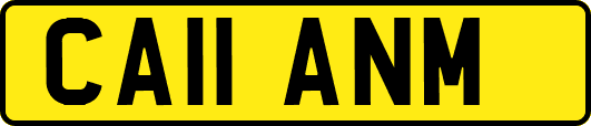 CA11ANM